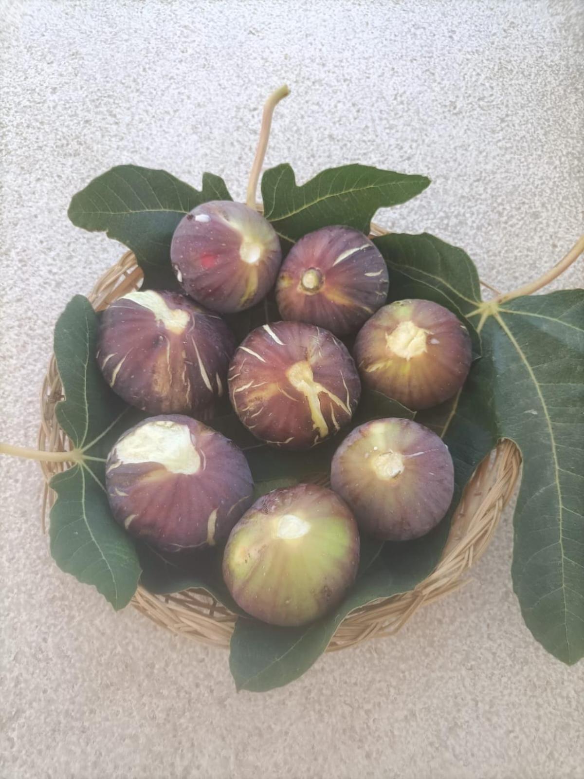 Masseria Ella 普尔萨诺 外观 照片