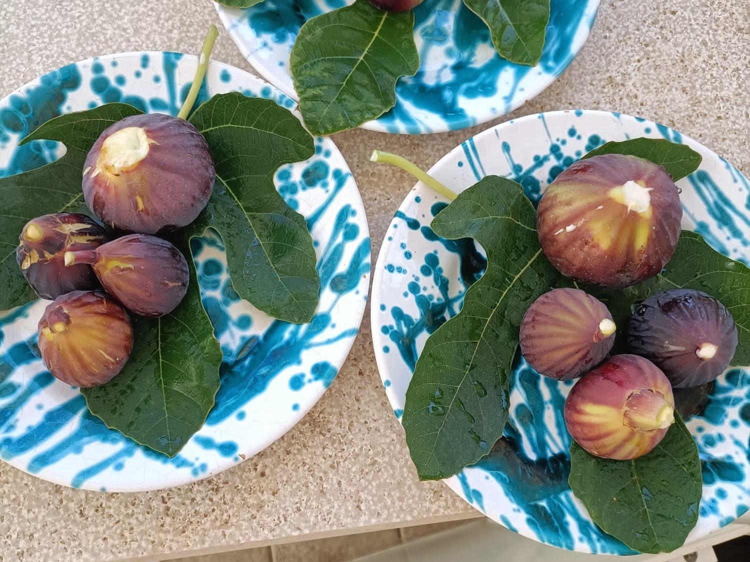 Masseria Ella 普尔萨诺 外观 照片